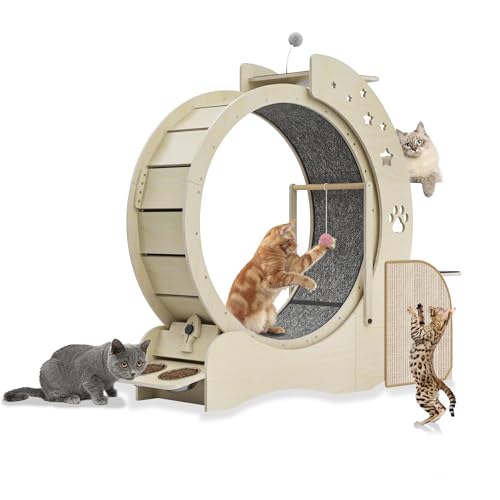 Auveach 5 in 1 Katzenrad aus Holz, multifunktional, feststellbar, Laufrad für Katzen, 3 Stufen, mit 2 Schüsseln, interaktives Spielzeug für Katzen Auveach 5 in 1 Katzenrad aus Holz, multifunktional, feststellbar, Laufrad für Katzen, 3 Stufen, mit 2 Schüsseln, interaktives Spielzeug für Katzen von Auveach