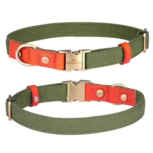 Avaner Hundehalsband, personalisierbar: doppelschichtiges Leder, weich und verschleißfest, Nähte aus Polyester, exquisites Leder, bronzegrün, Größe 1 von Avaner