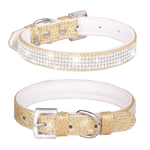 Avenpets Hundehalsband mit Strasssteinen, weich, bequem, stilvoll, mit Glitzer-Leder und Innenseite, gepolstert, verstellbar, Kristall, Haustierhalsband für kleine, mittelgroße Hunde und Katzen, Gold, von Avenpets