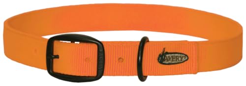 Avery Sporting Dog Hundehalsband, erhältlich in 3 Größen, Hundezubehör, passend für viele Hunderassen, auffälliges Leuchtorange, S, Orange von Avery