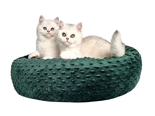 Aves-24 PIMPUS Katzenbett Hundebett RUND Ø55cm Hundesofa Katzennest Hunde Katze Donut (Grün) von Aves-24