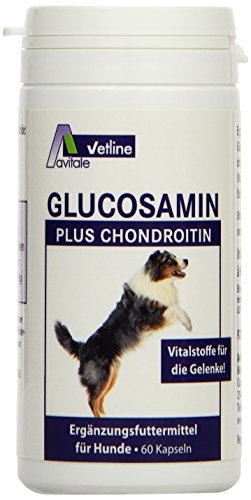 Avitale Glucosamin plus Chondroitin Kapseln für Hunde,60er pack,38,4g von Avitale