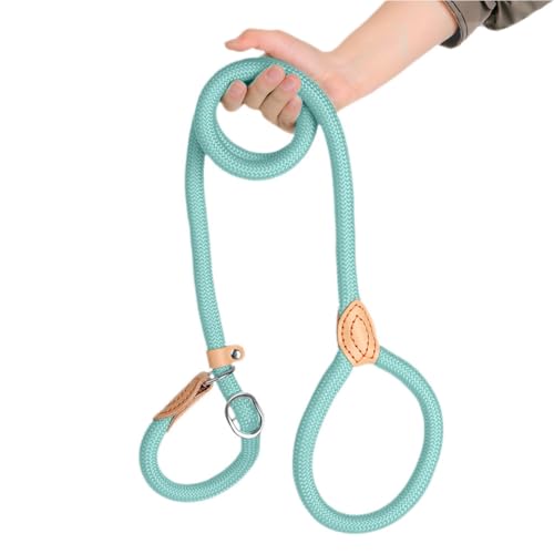 Awpland Retrieverleine mit Zugstopp, 150 cm Nylon Hundeleine mit Halsband für Mittlere und Große Hunde, Weicher Gepolsterter Griff, Braun von Awpland