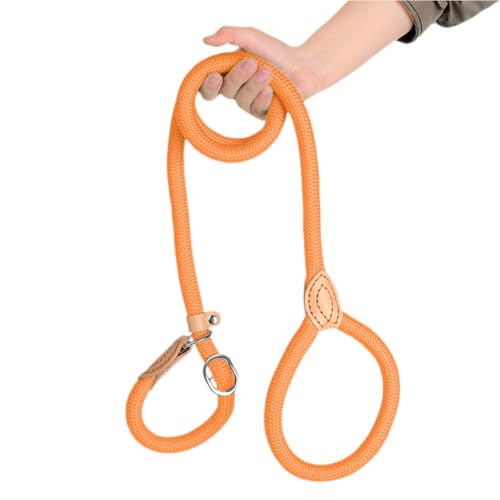 Awpland Retrieverleine mit Zugstopp, 180 cm Nylon Hundeleine mit Halsband für Mittlere und Große Hunde, Weicher Gepolsterter Griff, Braun von Awpland