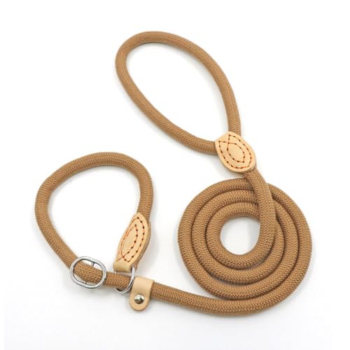 Awpland Retrieverleine mit Zugstopp, 150 cm Nylon Hundeleine mit Halsband für Mittlere und Große Hunde, Weicher Gepolsterter Griff, Braun von Awpland