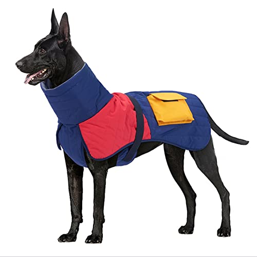 AxBALL Haustier-Hundekleidung, Winter, super warme Jacke, Dicker Baumwollmantel, wasserdicht for kleine, mittelgroße Hunde, Welpen, Yorkshire-Outfit (Color : Blue-red, Size : Medium) von AxBALL