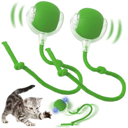 Axinyijia 2PCS Interaktives Katzenball Spielzeug 360° Rolling für Katzen Hunde Interaktiver Spielball mit Schwanz Katzenspielzeug von Axinyijia