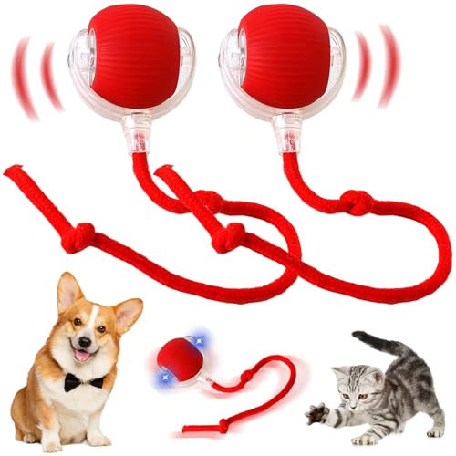 Axinyijia 2Stück Interaktives Katzenball für Katzen Hunde Interaktiver katzenspielzeug Spielball 360° Rolling Katze Hund Interaktiv Spielzeug Katzenbälle von Axinyijia