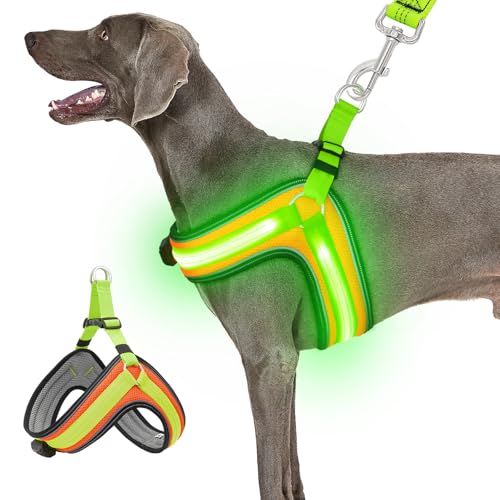 Hundegeschirr, beleuchtetes Hundegeschirr, kein Ziehen, LED-Hundegeschirr, leuchtet im Dunkeln, für nächtliche Spaziergänge, über USB wiederaufladbar, beleuchtete Sicherheitsweste für große Hunde, von Ayaseen