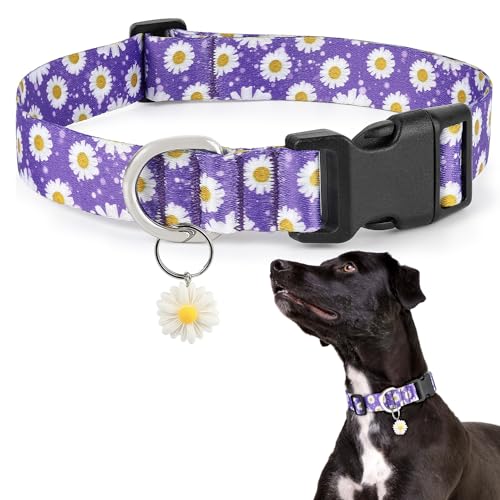 Hundehalsband mit Blumenmuster für Mädchen von Ayaseen