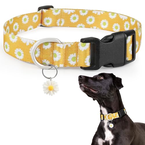 Hundehalsband mit Blumenmuster für Mädchen von Ayaseen