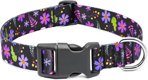 hundehalsband mädchen hundehalsband mädchen von Ayaseen