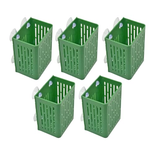 Aymzbd 5Pcs Aquarium Pflanzenhalter Wasserpflanze Mesh Net Töpfe Platzsparende Anbau Saugnapf für Tanks Landschaft, GrÜn Aymzbd 5Pcs Aquarium Pflanzenhalter Wasserpflanze Mesh Net Töpfe Platzsparende Anbau Saugnapf für Tanks Landschaft, GrÜn von Aymzbd