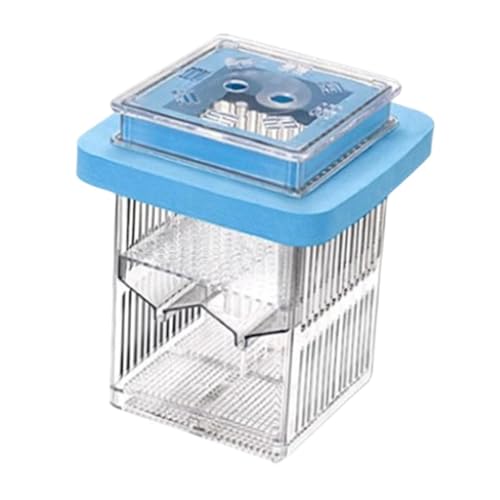 Aymzbd Fischzucht Inkubator für Babyfische mit Abnehmbarem Rahmen Und Isolation, Blau Aymzbd Fischzucht Inkubator für Babyfische mit Abnehmbarem Rahmen Und Isolation, Blau von Aymzbd