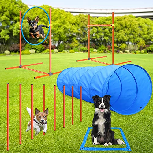 Aystkniet Agility Set Hunde 5 Set Besteht aus 60 × 177CM Agility Tunnel, 8 Slalomstangen, Höhenverstellbar Agilityhürde und Springreifen, 1 Rest Area Markierung, Agility hundetraining für Große Hunde von Aystkniet