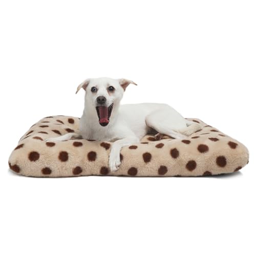 Hundebett für Hundekäfig, 61 x 45 cm, Beige mit Kaffeepunkten, bequeme Hundebox-Matte, 61 cm, rutschfest, waschbar, kleines Hundebett für Kiste von Aytupotin