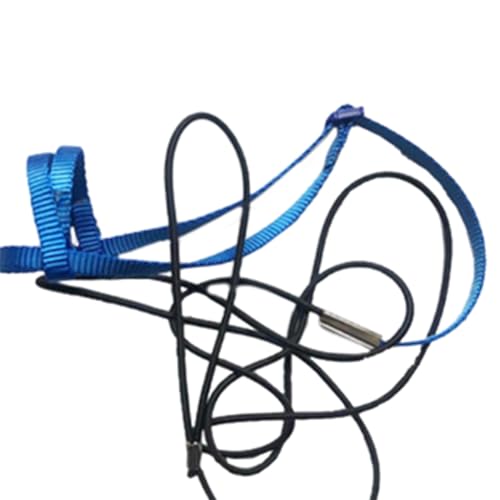 Aywndgdj Papageien-Geschirr, Leine, Outdoor, Fliegende Traktionsgurte, Band, Verstellbares Anti-Trainingsseil, Langlebig, Einfach zu Bedienen, Blau S von Aywndgdj