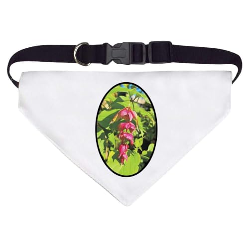 Groß 'Himalaya-Geißblatt' Hunde-/Katzen-/Haustier-Bandana (PD00044404) von Azeeda