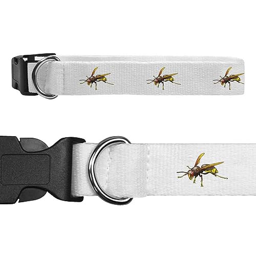 Groß 'Hornisse' Hundehalsband (PR00043000) von Azeeda