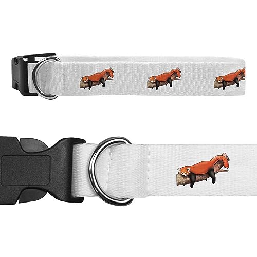 Klein 'Fauler Roter Panda' Hundehalsband (PR00042393) von Azeeda