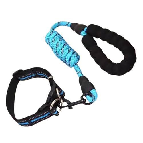 Hundehalsband für mittelgroße Hunde, Welpenhalsband und Seil-Set, Atmungsaktives Halsband für Hunde mit Seil-Set, Wetterfestes, gepolstertes Hundehalsband, geeignet für große, mittlere und von Aznever