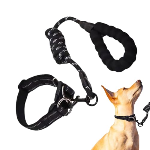 Welpenhalsband und Seil-Set, reflektierendes Hundehalsband - Verstellbares Hundehalsband für Haustiere,Wetterfestes, gepolstertes Hundehalsband, geeignet für große, mittlere und kleine Hunde von Aznever