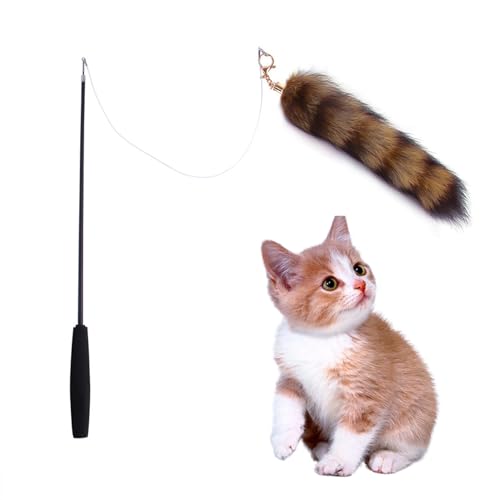 Azxcvbnm Schönes Katzenspielzeug Lustiges Angeln Pelziger Schwanz Lustiges Übungs Teaser Stick Spielzeug Für Katzen Mit Langem Pelzigem Schwanz von Azxcvbnm