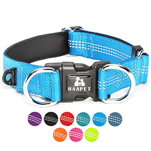 BAAPET Bequemes Hundehalsband mit doppeltem Sicherheits-D-Ring und ID-Tagen-Aufhänger für kleine Welpen, mittelgroße und große Hunde (M – 2,5 cm x 35,6 cm - 50,8 cm, blau) von BAAPET