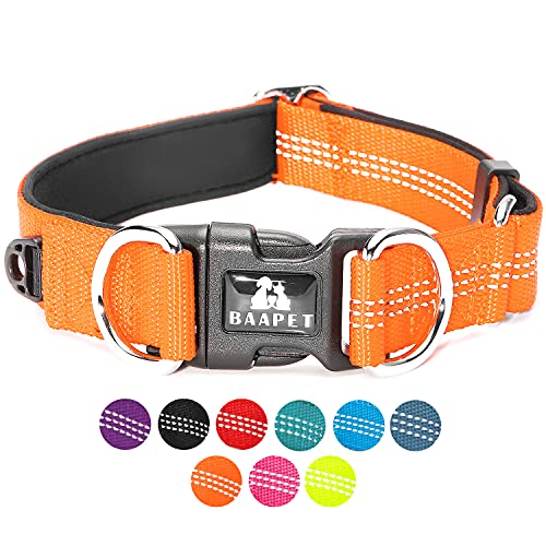 BAAPET Bequemes Hundehalsband mit doppeltem Sicherheits-D-Ring und ID-Tagen-Aufhänger für kleine Welpen, mittelgroße und große Hunde (S - 3/4 Zoll x (28,9 cm - 40,6 cm), orange) von BAAPET