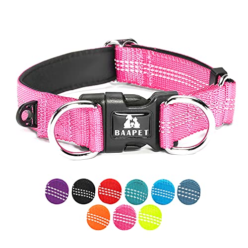 BAAPET Bequemes Hundehalsband mit doppeltem Sicherheits-D-Ring und ID-Tagen-Aufhänger für kleine Welpen, mittelgroße und große Hunde (S - 3/4 Zoll x (28,9 cm - 40,6 cm), rosa) von BAAPET