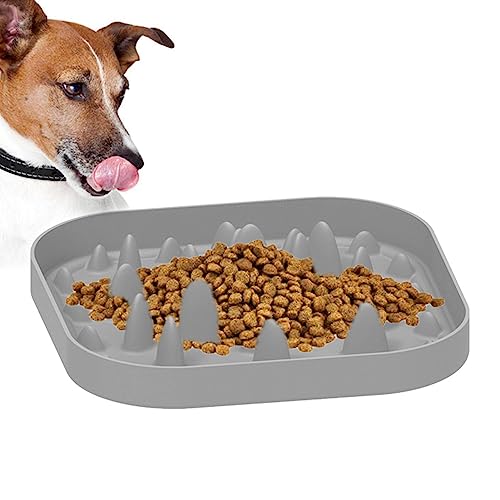 Hundenäpfe Slow Feeder, Leckmatte für Welpen aus Silikon, Interaktiver Slow-Food-Teller zur Verhinderung von Erstickungsgefahr, gesundes Design für Haustier, Katze Baaroo von BAAROO