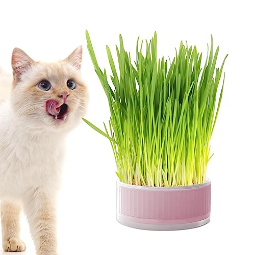 Katzengras-Pflanzgefäß für Hauskatzen | Hydrokultur-Sprossentablett - Katzenminze-Pflanzgefäß, abnehmbarer Pflanzkasten, erdfreier Graskasten für Katzen, Hunde und andere Haustiere, unterstützt Baaroo von BAAROO