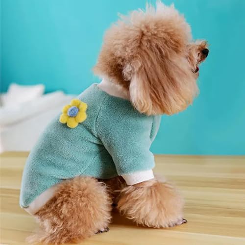 Warmer Winterpullover für Hunde, Fleece, niedliche Plüschblumen, Teddy-Bichon-Pullover, Welpen-Kapuzenpullover, Haustierkleidung, grün, Größe S von BABIIE