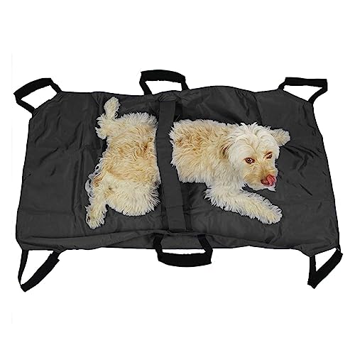 BABYVIVA Hundetrage-Rucksack für Haustiere, zum Auf- und Absteigen von Treppen, Stabiler Hundelift, Hundetrage von BABYVIVA