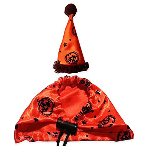 BABYVIVA Verstellbares Eidechsen Kostüm Set Bartagamen Halloween Und Orangefarbener Umhang Mit Aufdruck Weich Und Bequem von BABYVIVA