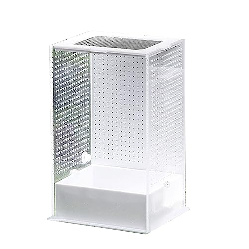 Transparente Futterbox mit Deckel für Geckos Supplies Transparente Futterbox Behälter Zuchtbox von BABYVIVA