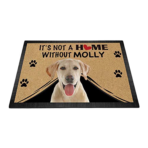 BAGEYOU Fußmatte mit niedlichem Labrador-Motiv, personalisierbar, Aufschrift ''It's Not a Home Without Dog'', Fußmatte, Dekoration, Teppich, 60 x 40 cm von BAGEYOU