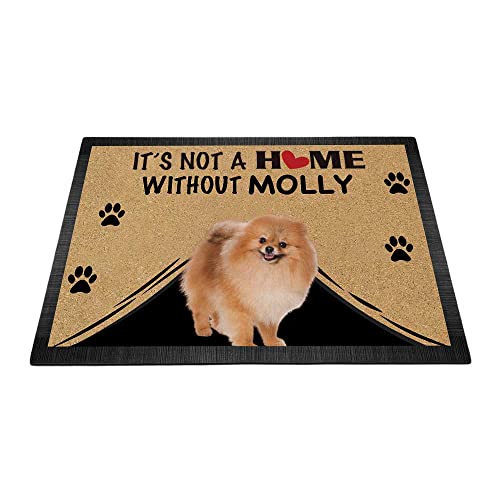 BAGEYOU Personalisierte Fußmatte mit Spitz Dog "It's Not a Home Without Dog Willkommen", Bodenmatte, Dekoration, Teppich, 60 x 40 cm von BAGEYOU