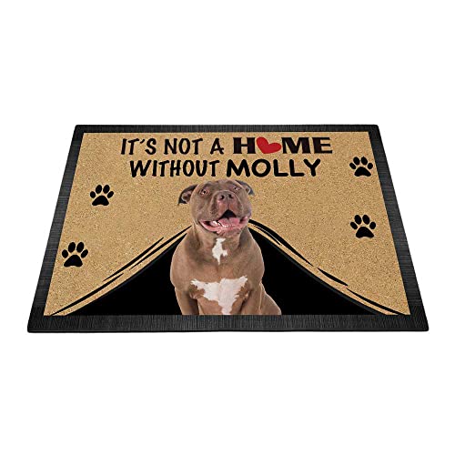 Personalisierte Fußmatte mit Pitbull roter Nase, Hundemotiv, Aufschrift "It's Not a Home Without Dog", Fußmatte, Dekoration, Teppich, 69,8 x 45 cm von BAGEYOU