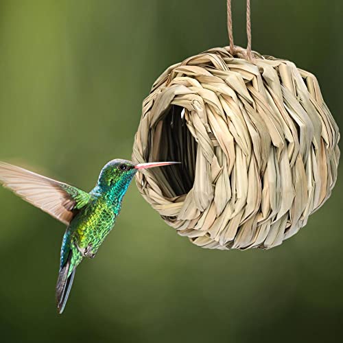 Kolibri-Nisthaus, handgewebtes Kolibri-Nest zum Aufhängen im Freien, gewebte Kugelform Kolibrinest, geeignet für Garten, Balkon, Veranda, Baumstamm von BAILIY