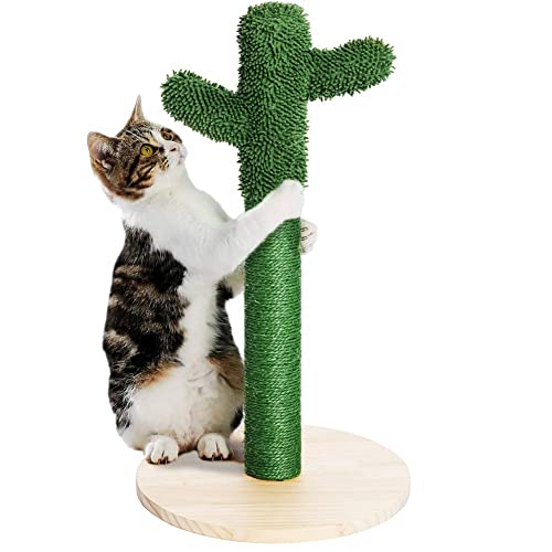 BAKAJI Kratzbaum Kaktus Baum Form Pflanze für Katzen Katzen Katzen Tiere Farbe Grün mit interaktiver Blume für Nägel Kratzfest Spielzeug stabil robust Seil aus Hanf von BAKAJI