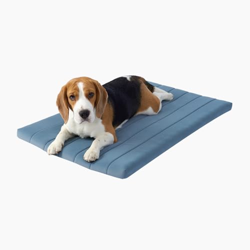 BALANCE Comfort Plus Hundebett, orthopädische Hundebettunterlage mit wasserdichtem Futter, waschbare Schaumstoffmatte für große und mittelgroße Welpen, Puderblau, 76,2 x 48,3 x 4,1 cm von BALANCE