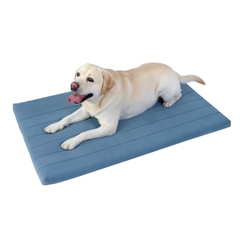 BALANCE Comfort Plus Hundebett, orthopädische Hundebettunterlage mit wasserdichtem Futter, waschbarer Schaumstoff-Haustiermatte für große und mittelgroße Welpen, Puderblau, 91,4 x 58,4 x 4,1 cm von BALANCE