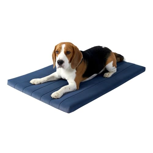 BALANCE Comfort Plus Periskop-Hundebett, orthopädische Hundebettunterlage mit wasserdichtem Futter, waschbare Schaumstoff-Haustiermatte für große und mittelgroße Welpen-Hunderassen, 76,2 x 48,3 x 4,1 von BALANCE