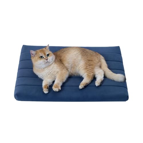 BALANCE Comfort Plus Periskop-Hundebett, orthopädisches Hundebett, mit wasserdichtem Futter, waschbare Schaumstoffmatte für große, mittelgroße und mittelgroße Welpen, Periskop, 61 x 45,7 x 4,1 cm von BALANCE