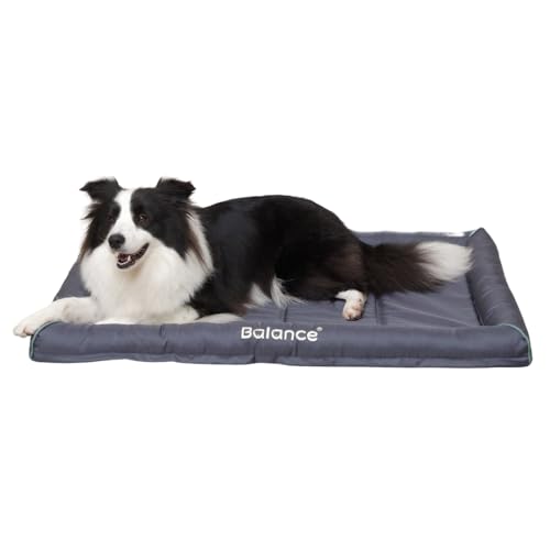 BALANCE Oxford 1680D Hundebett für Hundekäfige aus Metall, wasserdicht, wetterfest, für jedes Wetter, langlebig, leicht abwischbar, für Reisen, drinnen und draußen, Welpenbett, 106,7 cm von BALANCE