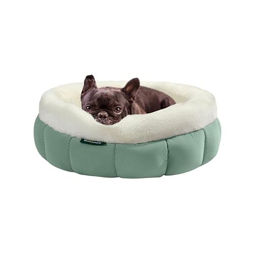 BALANCE Rundes Katzenbett, Donut-Design, für kleine Hunde, beruhigendes Haustierbett, Grün, Größe S von BALANCE