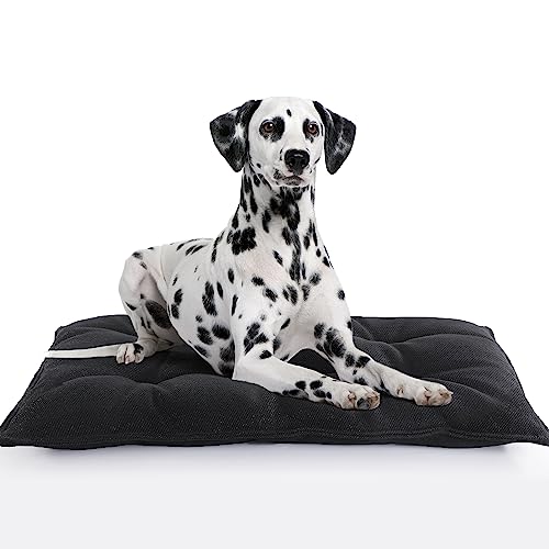 BALAPET Kaufestes Hundebett für große Hunde, stabile Hundehüttenunterlage für zahnende Welpen, langlebig, für mittelgroße Hundekäfige, 104,1 x 71,1 cm von BALAPET