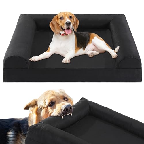 BALAPET Robustes, kaufestes Hundebett, unzerstörbares Hundebett für kleine und mittelgroße Hunde, orthopädische Hundesofa und Sofa von BALAPET