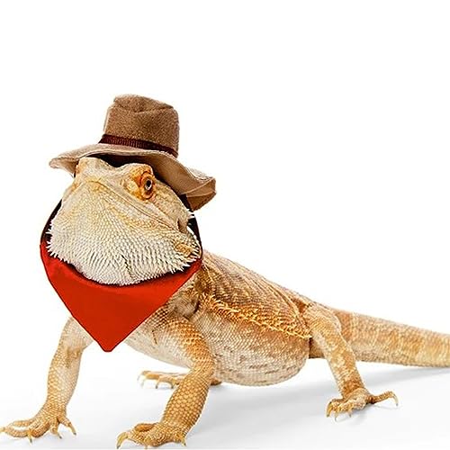 BAMY Bärtiger Drache Cowboyhut und Bandana Set Halloween Eidechse Reptilien Kostüm Coole Haustier Kappe Kleintier Outfit Anzug für Cosplay (Cowboy) von BAMY